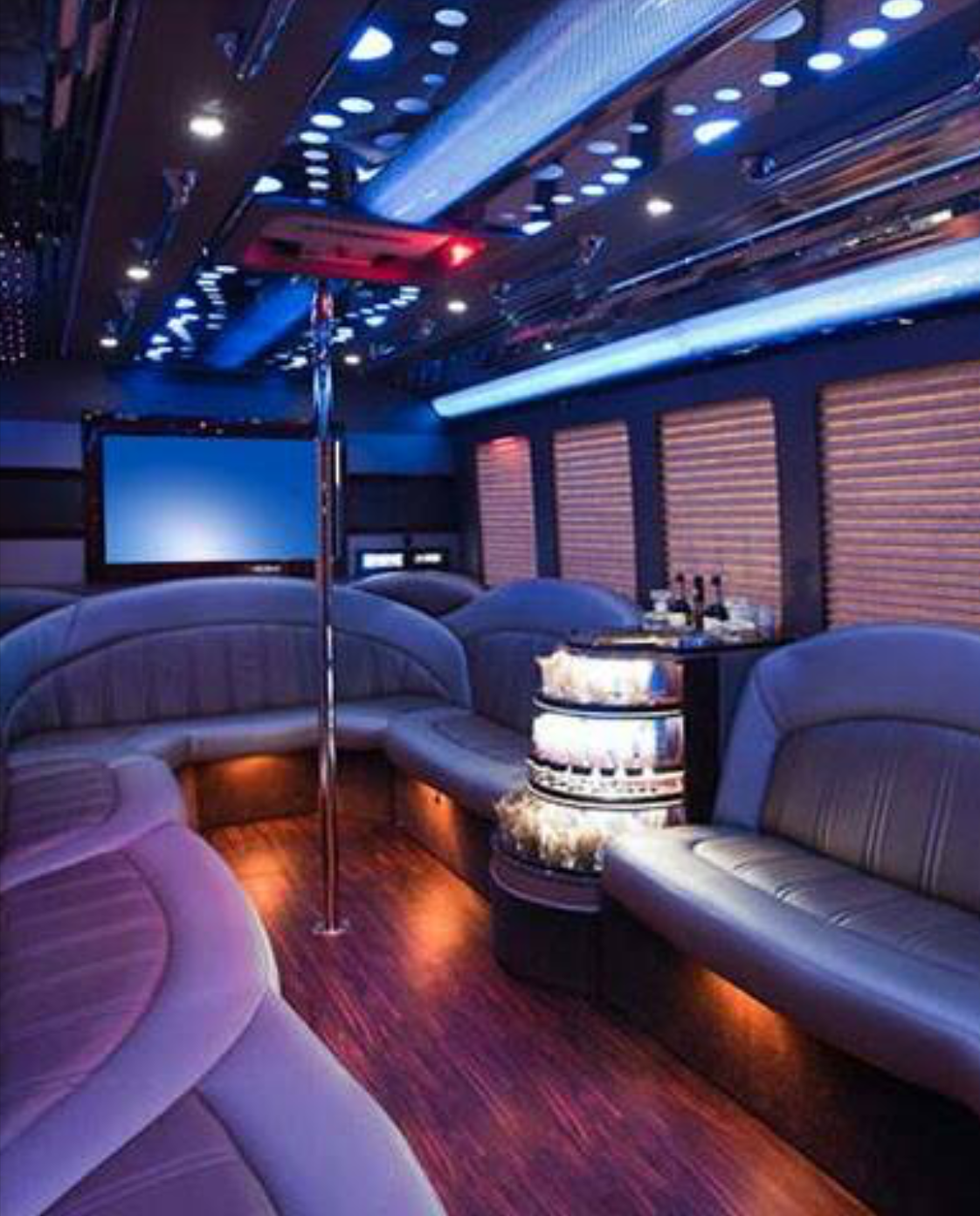 26 Passenger Party Bus Interior in NYC